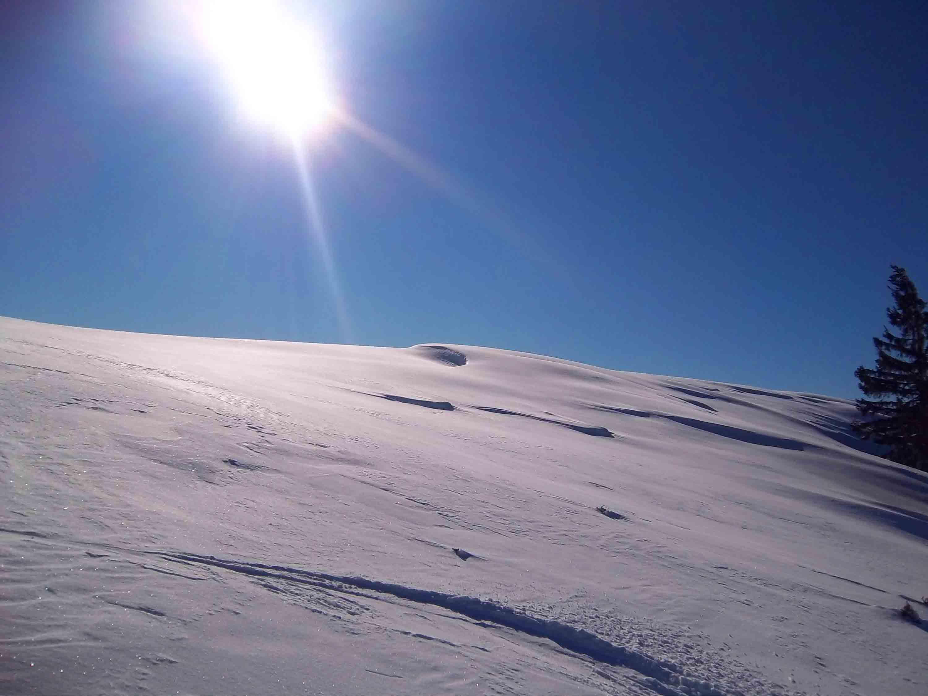 Winter im Mondseeland Skilanglauf in Oberaschau Loipe