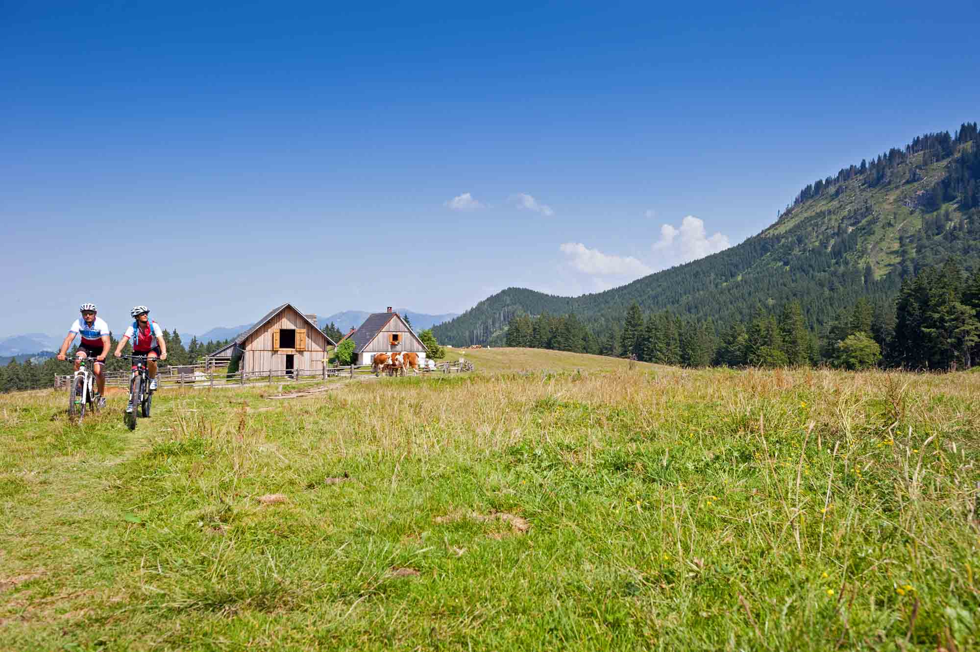 Relaxbiken im dne Seenland OÖTouri Hochhauser Radwandern Radtouren Fahrradurlaub