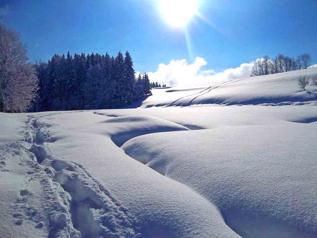 Winterwanderung ganz in der Nähe Skilanglauf in Oberaschau Loipe