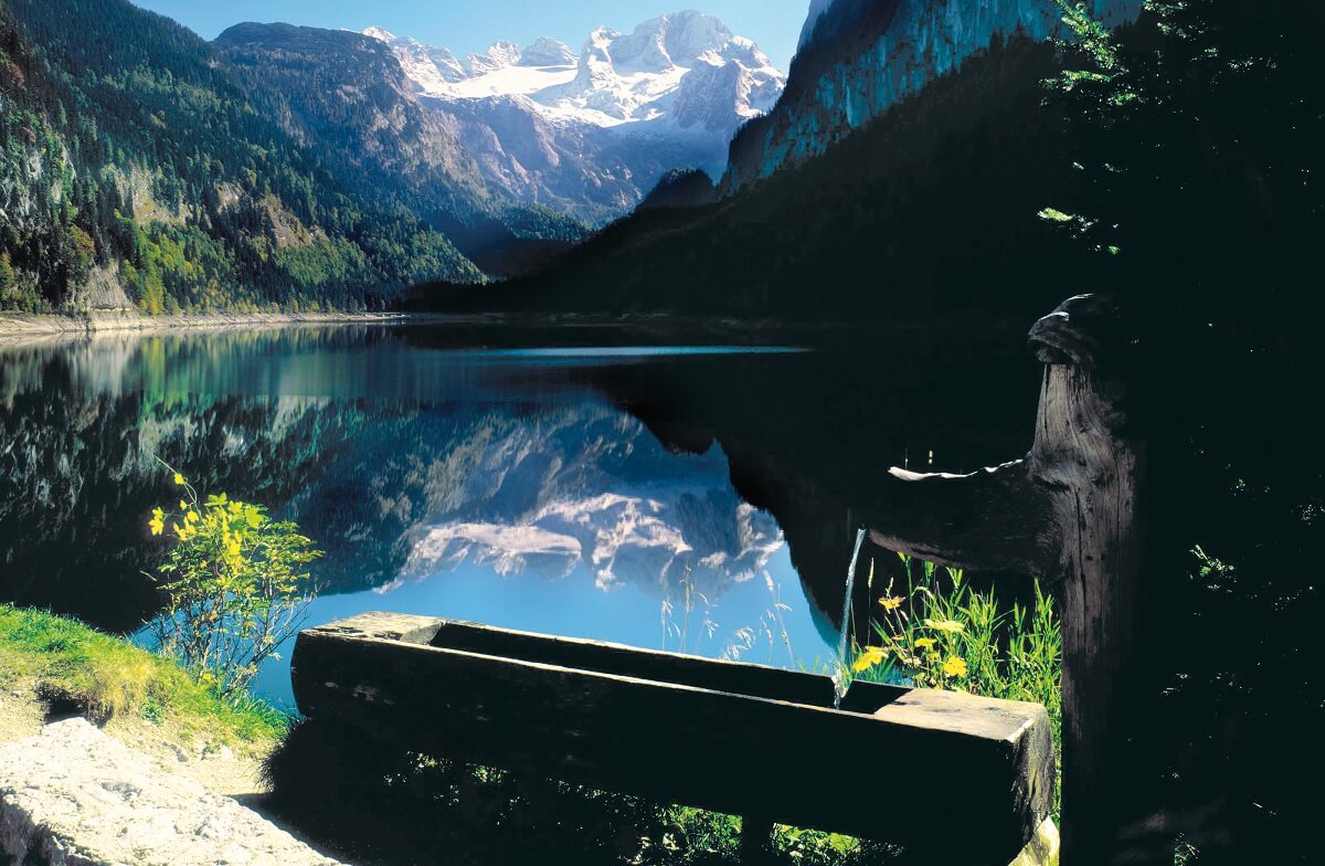 Ausflug in die Umgebung Familienurlaub Urlub mit Kindern Urlaub mi Hund